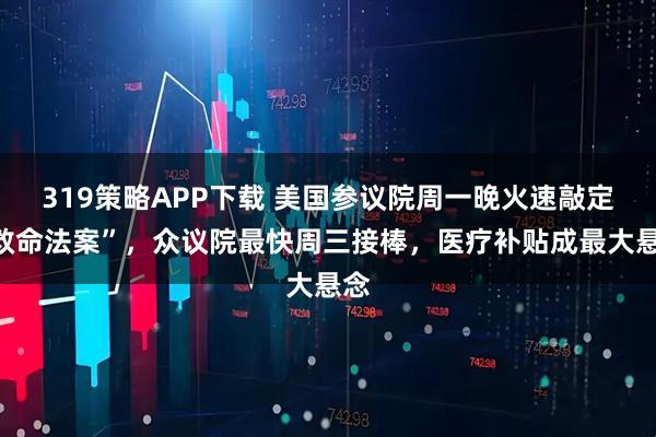 319策略APP下载 美国参议院周一晚火速敲定“救命法案”，众议院最快周三接棒，医疗补贴成最大悬念